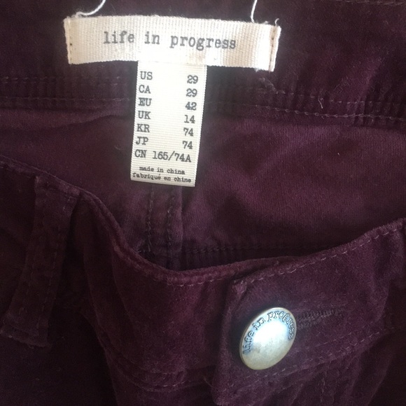 Life In Progress - Purple Velvet Skinny Pants - Picture 2 of 4